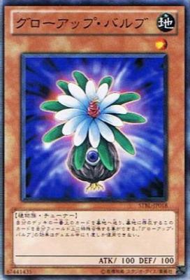 〔 N 〕 《グローアップ・バルブ》
