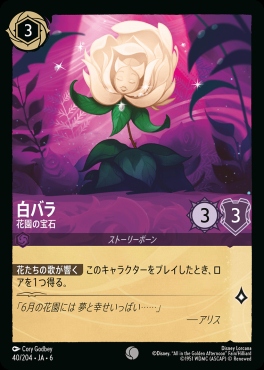 〔C〕 Ja06-040/204  白バラ（花園の宝石）