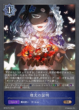 〈 P 〉 bp16-P12 理光の証明