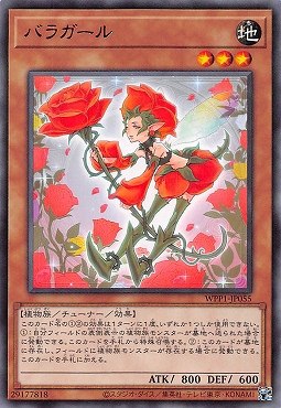 【 R 】 WPP1-JP055 《バラガール》