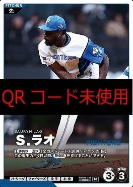 〔N〕  BBP03-028 Ｓ．ラオ