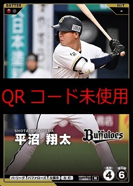 〔N〕  BBP03-047 平沼 翔太