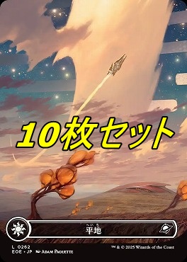日【L】EOE0262平地10枚セット(JPN)