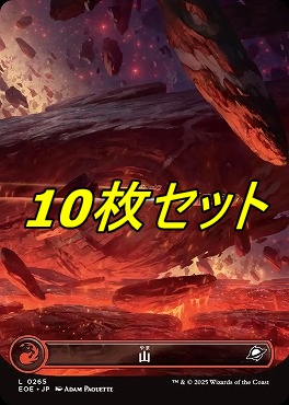 日【L】EOE0265山10枚セット(JPN)