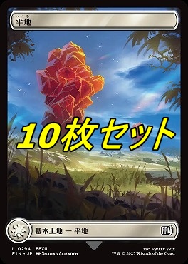 *予約*日【L】FIN0294平地10枚セット(JPN)
