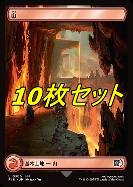 *予約*日【L】FIN0305山10枚セット(JPN)