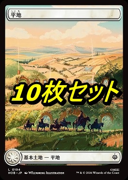 日【L】HOB0194平地10枚セット(JPN)
