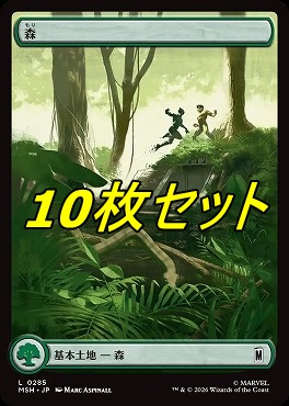 日【L】MSH0285森10枚セット(JPN)