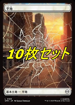 *予約*日【L】SPM0189平地10枚セット(JPN)