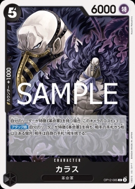 〔C〕 OP12-085 カラス