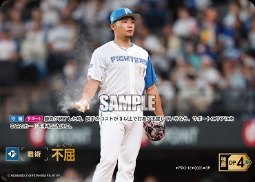 !★Sパラ★ [SP]  ▽日公▽PDO-12 不屈