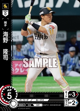 〔C〕 ▽福岡▽ BP01-H06 海野　隆司／福B