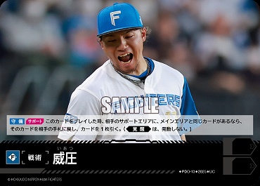 【U】 ▽日公▽ PDO_F_13 威圧