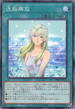 〔 N 〕 WPP6-JP071 《洗脳解放》