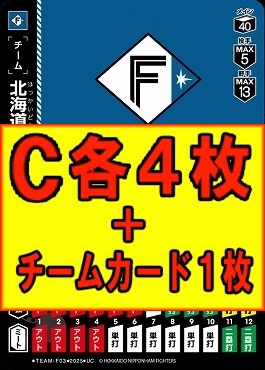 (C各4枚+チームカード1枚セット)▽日公▽