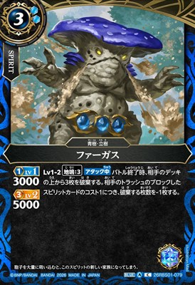 【C】 26RBS01-079 ファーガス