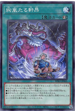 〔 N 〕 BPRO-JP065 《絢嵐たる軒昂》