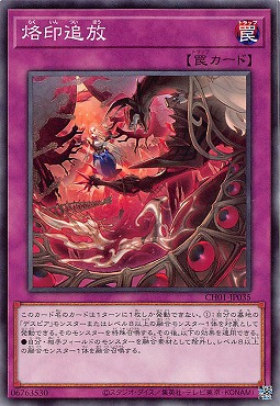 〔 N 〕 CH01-JP035 《烙印追放》