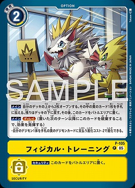 (P)P-105フィジカル・トレーニング