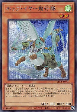 [SE] 25DB-JP019 《ホップ・イヤー飛行隊》