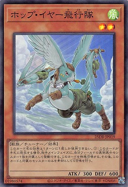 〈SR〉 25DB-JP019 《ホップ・イヤー飛行隊》