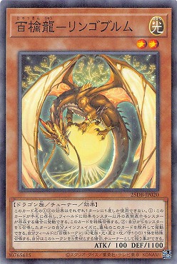 〔N-P〕 25DB-JP020 《百檎龍－リンゴブルム》