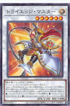 〔N-P〕 25DB-JP032 《トライエッジ・マスター》