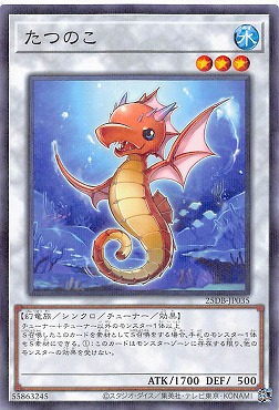 〔N-P〕 25DB-JP035 《たつのこ》