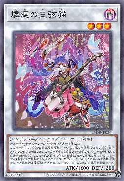 〔N-P〕 25DB-JP036 《燐廻の三弦猫》