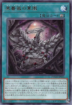 【 R 】 DOOD-JP055《黒薔薇の華園》