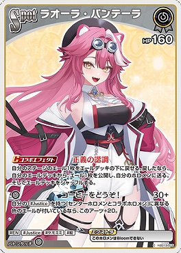 〔C〕  hSD13-015 ラオーラ・パンテーラ