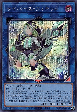 [SE] LOCH-JP063《サイバース・ウィキッド》