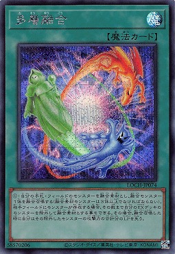 [SE] LOCH-JP074《多層融合》