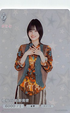 〈N+〉  BB-S46-116N+ 的野美青