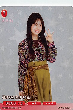 〈N+〉  BB-S46-117N+ 向井純葉