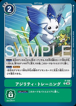 《P》 P-106アジリティ・トレーニング