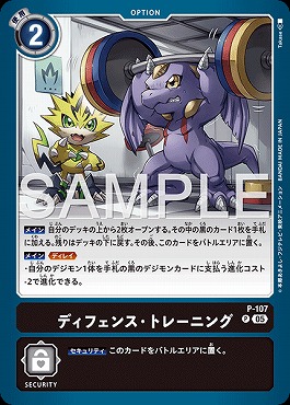 《P》 P-107ディフェンス・トレーニング