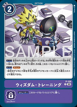 《P》 P-108ウィズダム・トレーニング