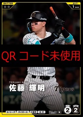 〔N〕 BBK01-003 佐藤 輝明 ※柿の種