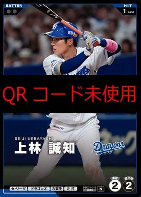 〔N〕 BBK01-012 上林 誠知 ※柿の種