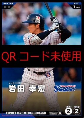 〔N〕 BBK01-018 岩田 幸宏 ※柿の種