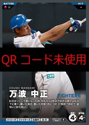 《R》 BBK01-023 万波 中正 ※柿の種