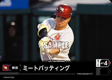 〔TC〕 ▽楽天▽ PDO-2-E ミートバッティング