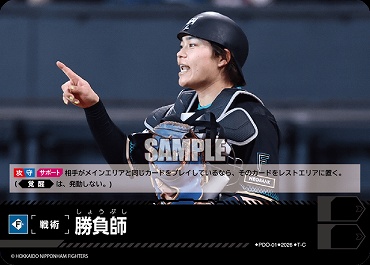 〔TC〕 ▽日公▽ PDO-1-F 勝負師