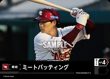 〔TC〕 ▽楽天▽ PDO-2-E ミートバッティング