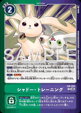 (P) LM-060シャドー・トレーニング