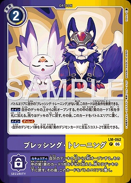(P) LM-062ブレッシング・トレーニング