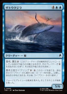 日【C】TRK0065ザトウクジラ(JPN)