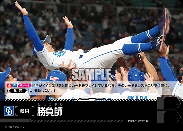 〔C〕 PDO-01 勝負師 ※