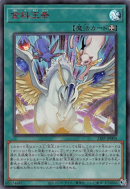 [亜RSE] 23PP-JP004 《金科玉条》